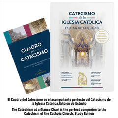 Catecismo de la Iglesia Católica Edición de Estudio en ESPAÑOL - Portada en Pasta Blanda (Paperback)