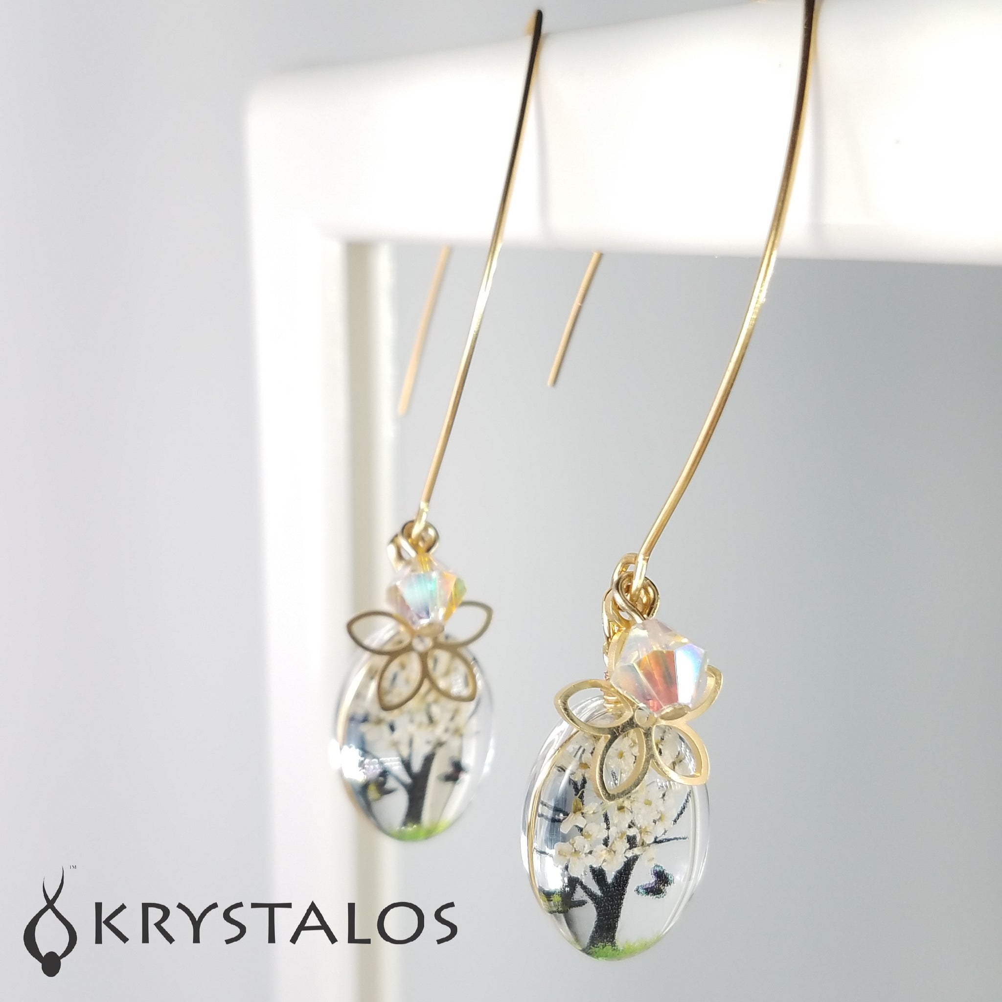 Stainless Steel Earrings - Life in Color