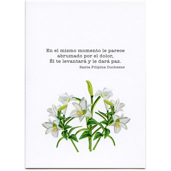 Condolences - Devotional Card for Condolences or Consolation (IN SPANISH)